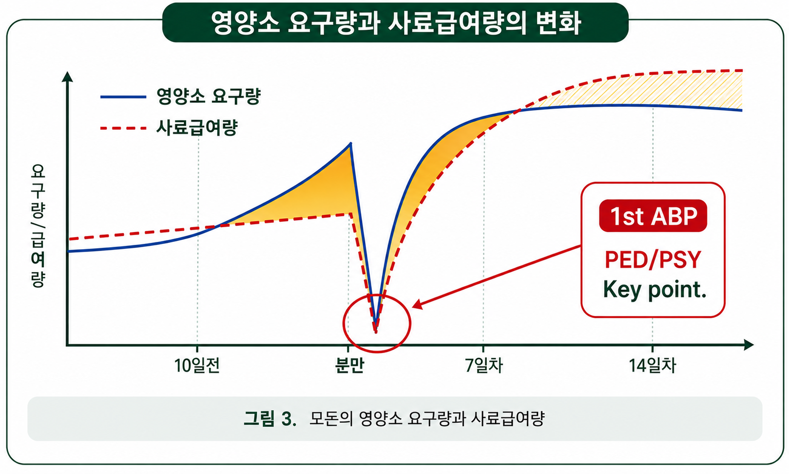 1차 ABP 핵심 포인트 도표