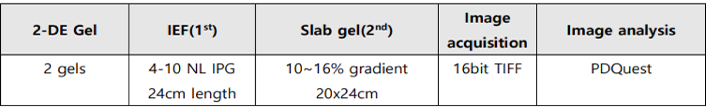 2-DE Gel 분석 방법