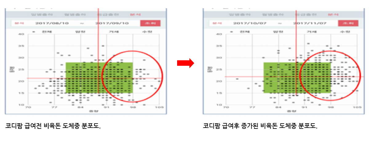 코디팜 급여 전후 비육돈 체중 분포도